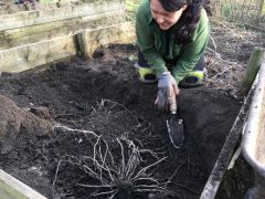 Lee-Anne’s spidiferous roots and toxic waste